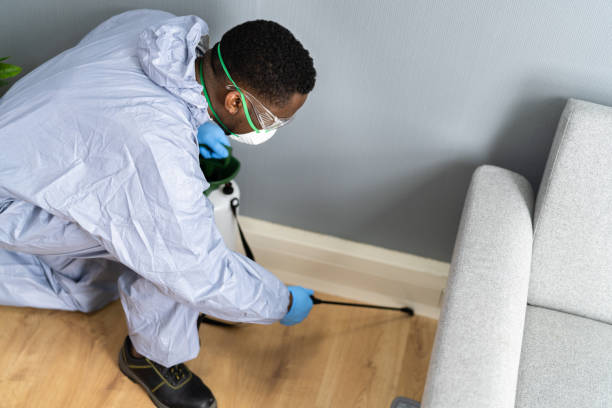 Best Pest Prevention Services  in San Leon, TX